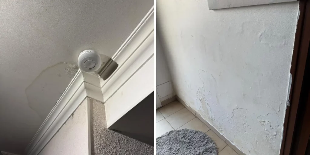 J’ai de l’humidité dans mon logement, que faire ? 1 degats infiltration eau detect eau fuites