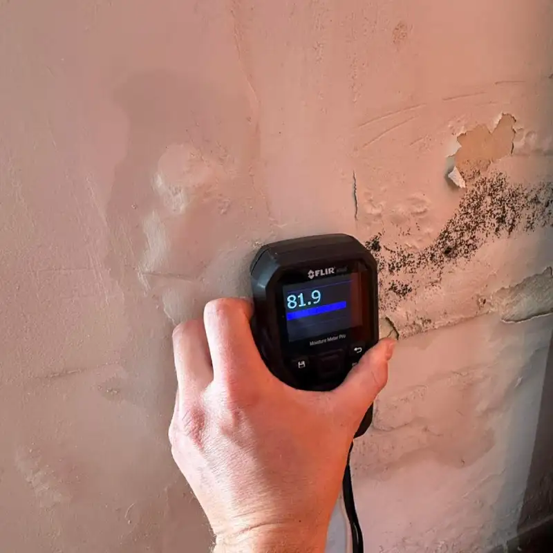 Humidité et moisissures dans un logement à Nîmes 1 humidite moisissures nimes detect eau fuites inspection