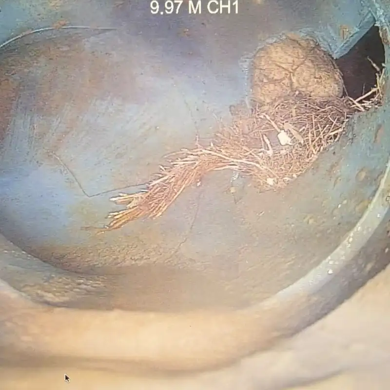 Traces de moisissures dans un logement à Vergèze 2 detection moisissures vergeze camera detect eau fuites