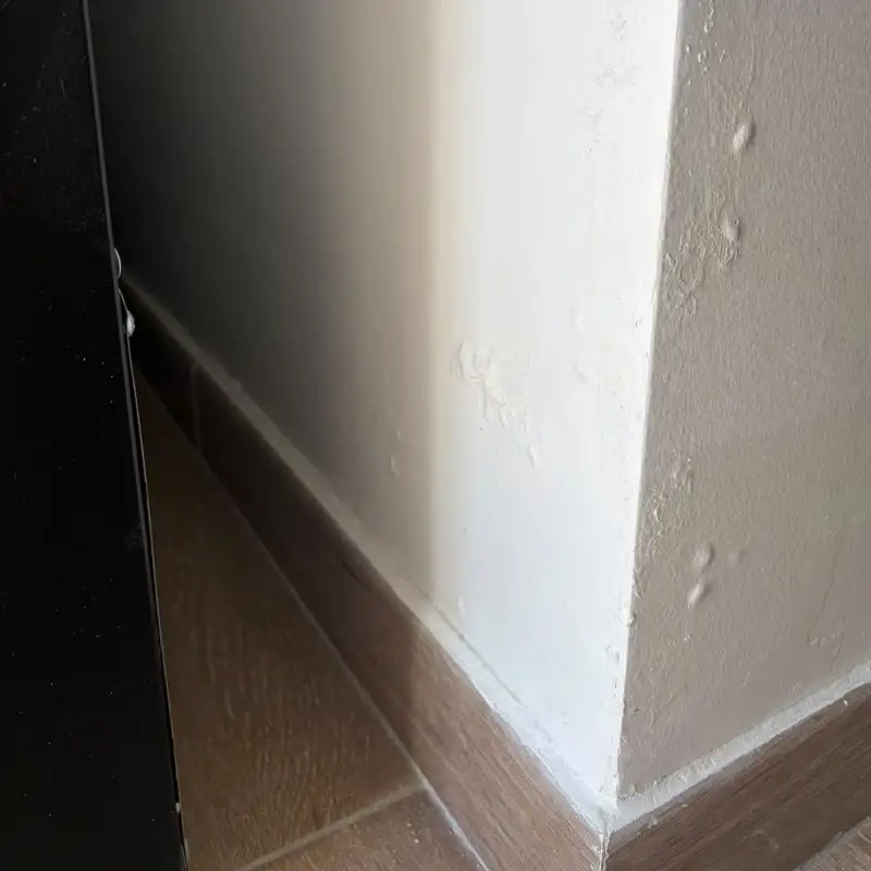 Traces de moisissures dans un logement à Vergèze 1 detection moisissures vergeze detect eau fuites